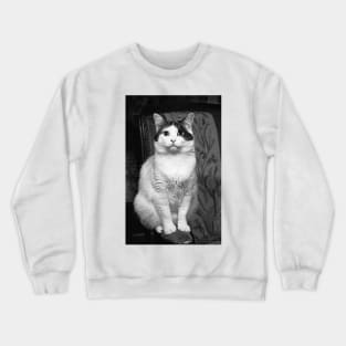 r3102/  New finition 2021 : Les cats par Okaio Pirate's attitudes / expressions "human" 3 Crewneck Sweatshirt